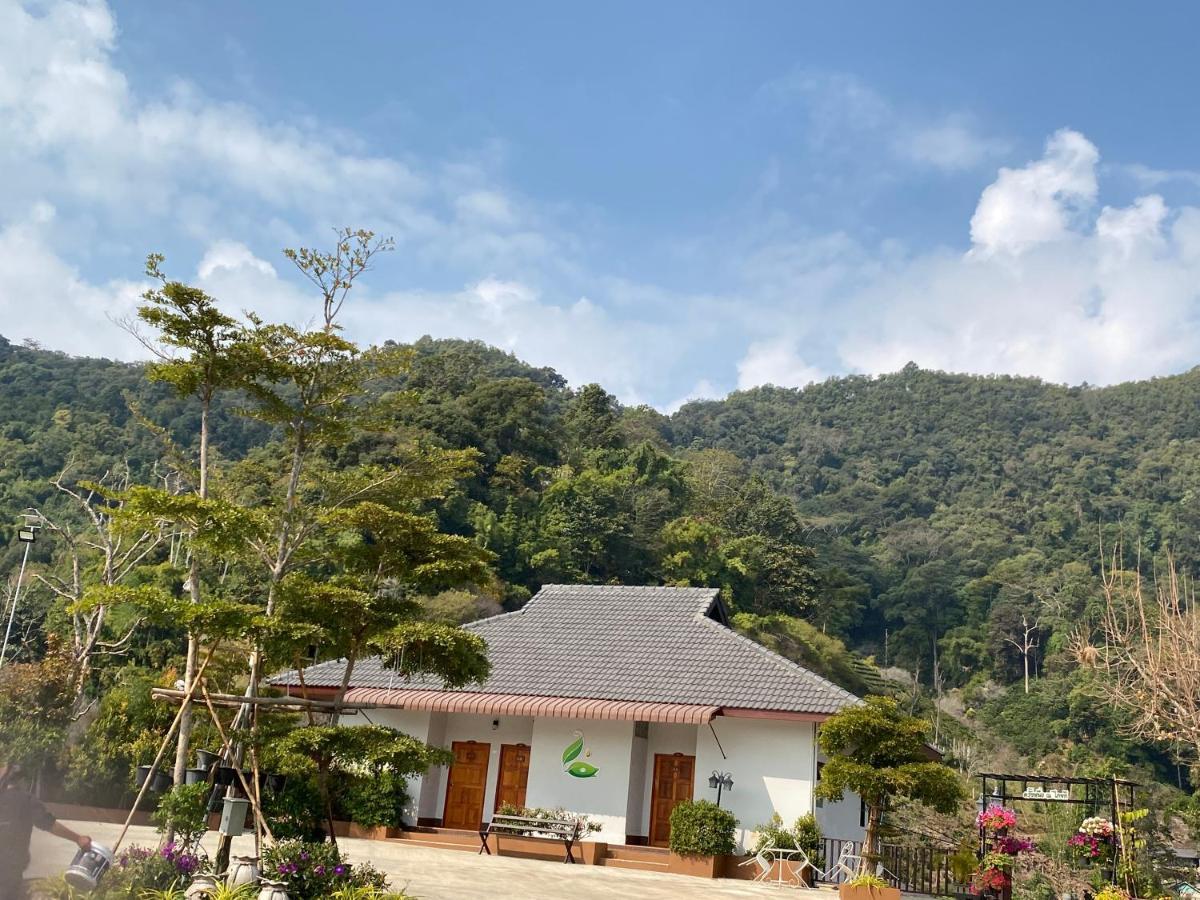 Thai Tea Garden Home Chiang Rai Ngoại thất bức ảnh
